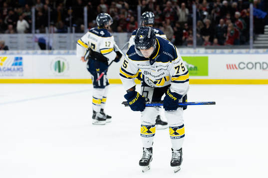 HV71s Radan Lenc deppar