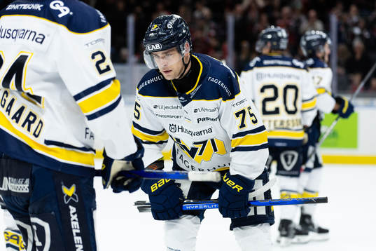 HV71s Radan Lenc deppar