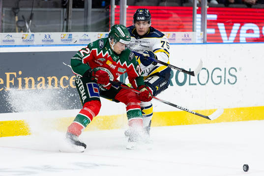 Frölundas Linus Nässen och HV71s Radan Lenc