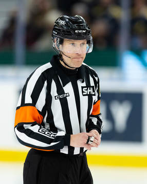 Domare Tobias Björk