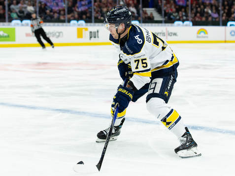 HV71s Radan Lenc