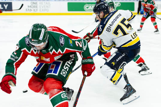HV71s Radan Lenc