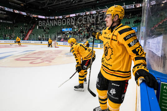 Skellefteås Andreas Johnson  och Jonathan Johnson