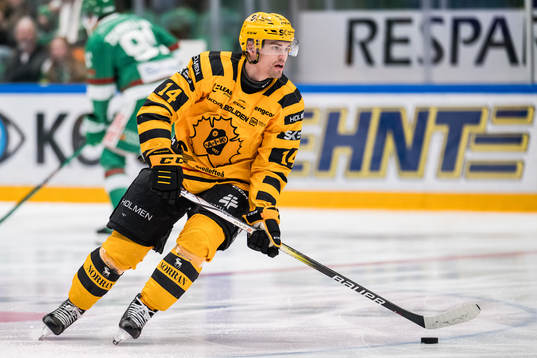 Skellefteås Andreas Johnson