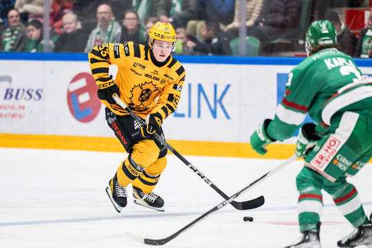 Skellefteås Zeb Forsfjäll