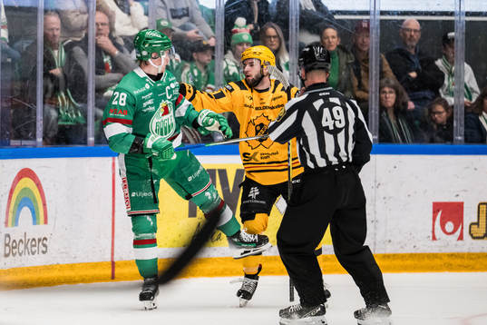 Rögles Anton Bengtsson och Skellefteås Martins Dzierkals