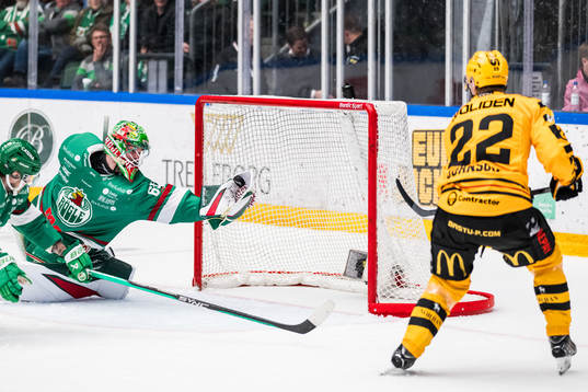Rögles Christoffer Rifalk och Skellefteås Jonathan Johnson