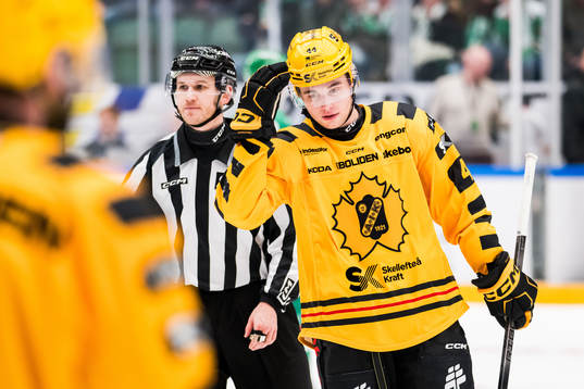 Skellefteås Elias Salomonsson tilldelas matchstraff