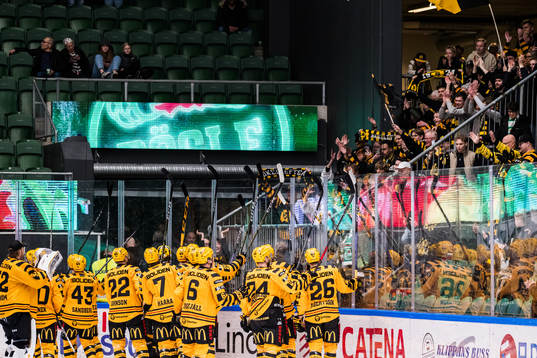 Skellefteås spelare jublar med supportrar