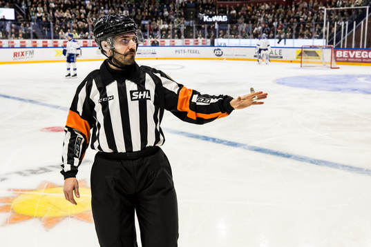 Domare Mattias Enroth