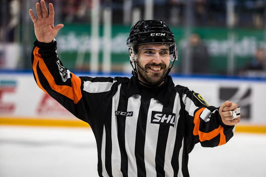 Domare Mattias Enroth