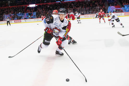 Malmö Redhawks Robin Alvarez