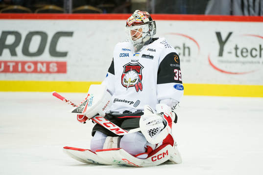 Malmö Redhawks målvakt Adam Werner