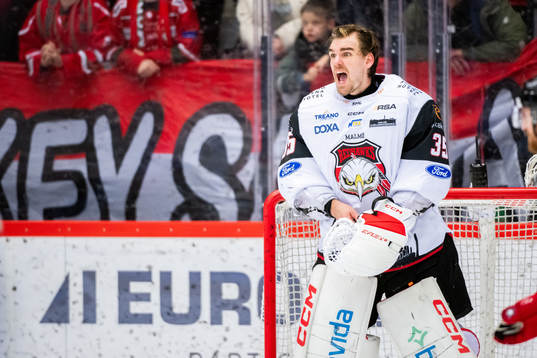 Malmö Redhawks målvakt Adam Werner
