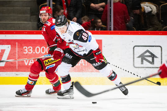Malmö Redhawks Lauri Pajuniemi