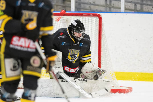 Bläddra bland fler bilder av Ishockey, AllTvåan, Södra, IK Pantern - Vänersborgs HC