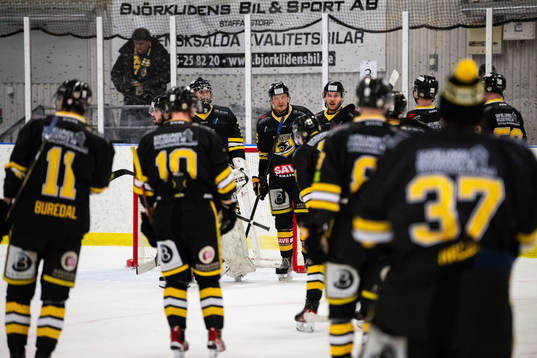 Panters spelare jublar