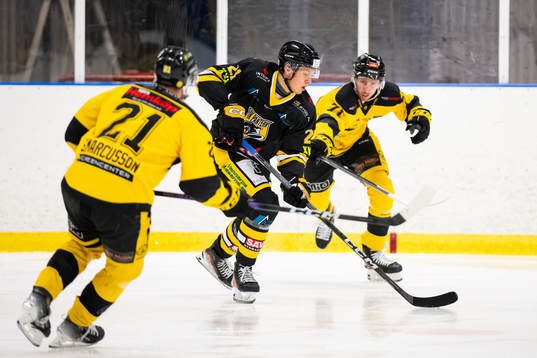Panters Attila Backman
