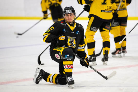 Panters Emil Selin