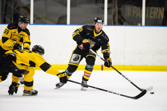 Panters Nicolas Erb-Ekholm