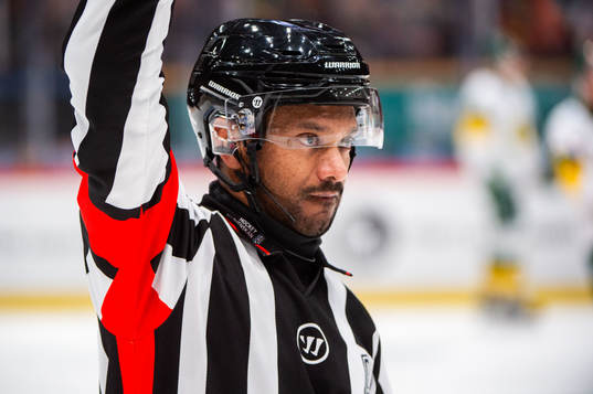 Domare Fredrik Rönnberg