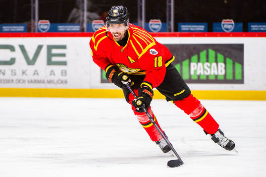 Brynäs Anton Rödin