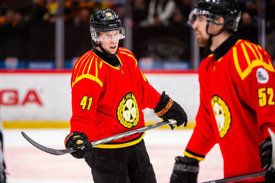 Brynäs Greg Scott