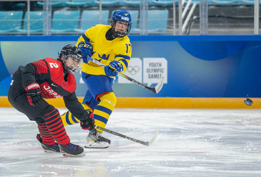 A handout photo made available by the Olympic Information