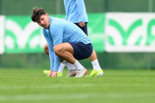 Malmö FFs Stefano Vecchia