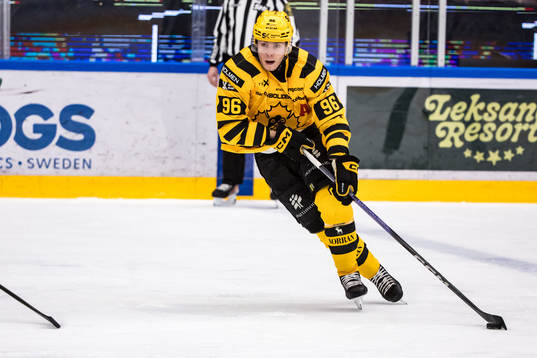 Skellefteås Rickard Hugg