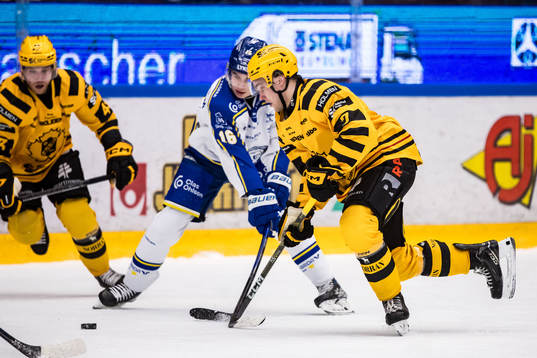 Skellefteås Frans Haara