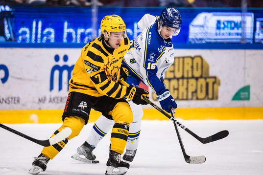 Skellefteås Frans Haara och Leksands Felix Unger Sörum