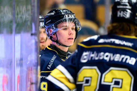 HV71s Wilhelm Hallquisth