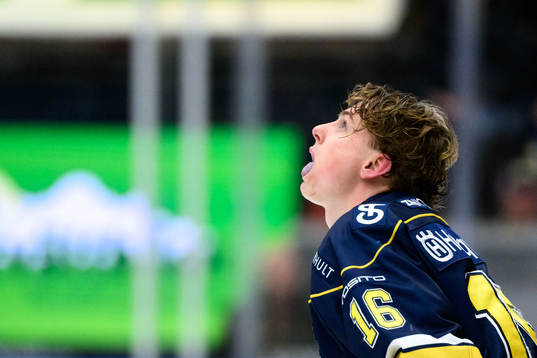 HV71s Axel Landén