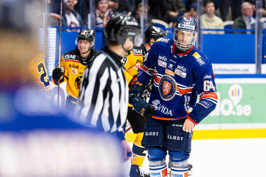 Växjös Eric Martinsson deppar