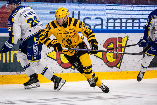 Skellefteås Rickard Hugg