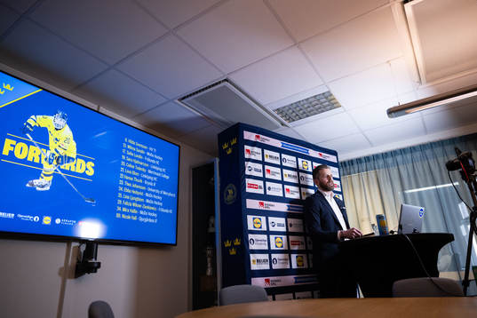 Damkronornas förbundskapten Ulf Lundberg