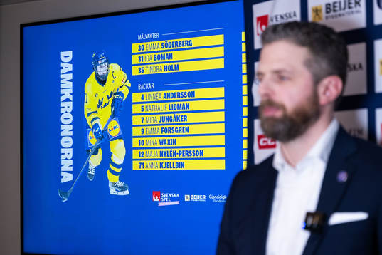 Damkronornas förbundskapten Ulf Lundberg