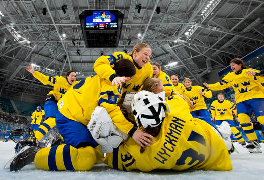 Sweden players celebrate in front of goal