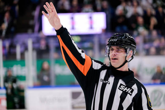 Domare Richard Magnusson