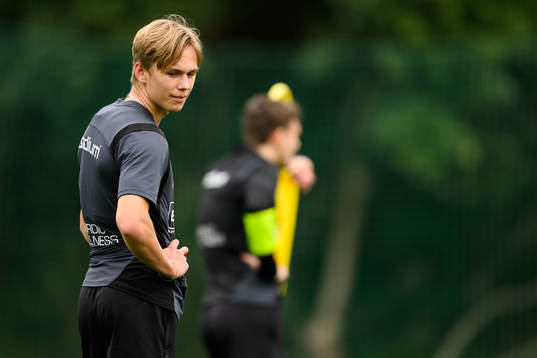 Häckens Pontus Dahbo