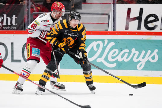 MoDos David Bernhardt och Skellefteås Pär Lindholm