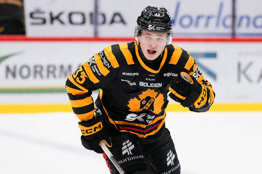 Skellefteås Zeb Forsfjäll