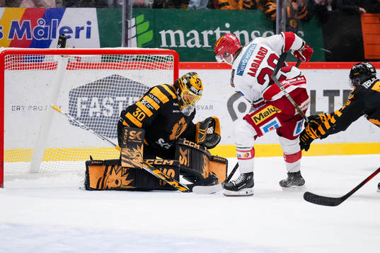 Skellefteås målvakt Gustaf Lindvall och MoDos Mikkel