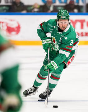 Rögles Michael Kapla