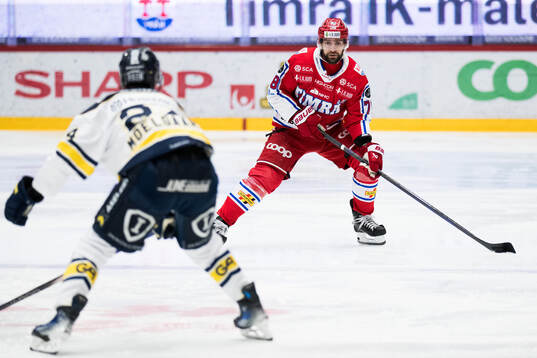 Timrås Robin Hanzl