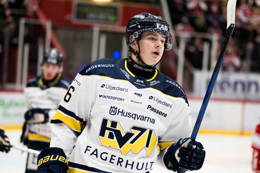 HV71s Axel Landén deppar