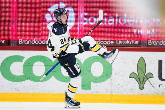 HV71s Oscar Fisker Molgaard jublar