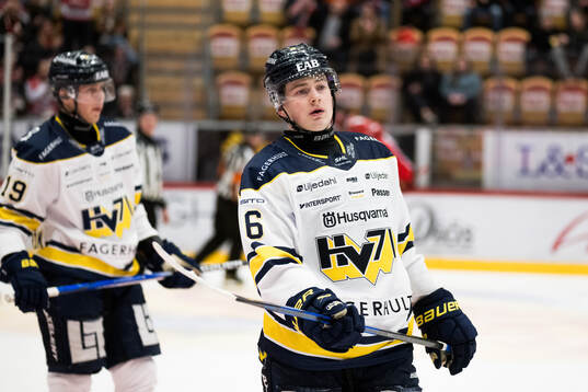 HV71s Axel Landén deppar