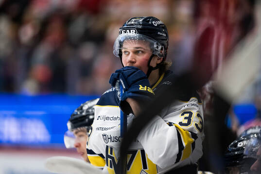 HV71s Måns Lindbäck deppar